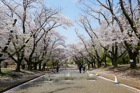 稲荷山公園