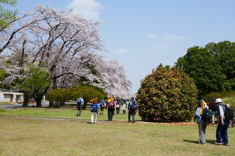 稲荷山公園