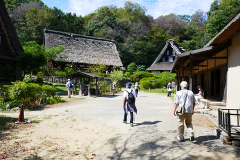 生田緑地