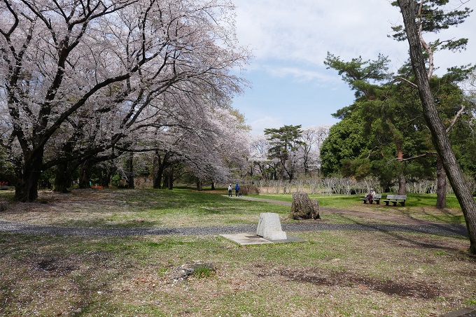 野川公園