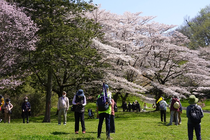 野川