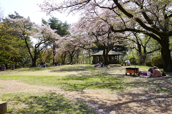 野川